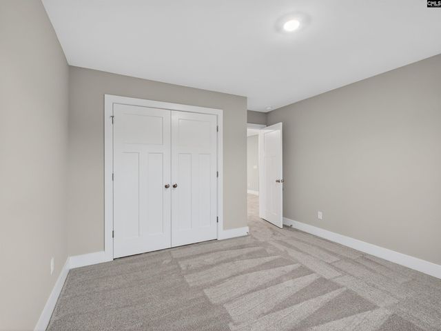 8 Elk Run Court, Chapin, SC 29036