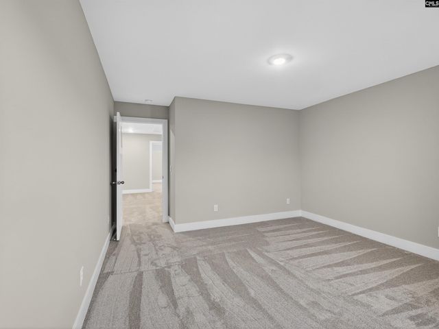 8 Elk Run Court, Chapin, SC 29036