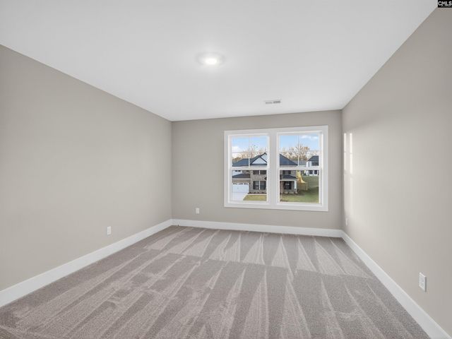 8 Elk Run Court, Chapin, SC 29036