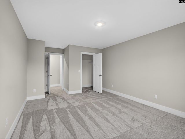 8 Elk Run Court, Chapin, SC 29036