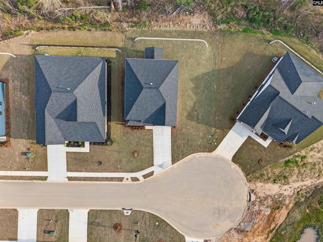 8 Elk Run Court, Chapin, SC 29036