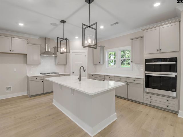 8 Elk Run Court, Chapin, SC 29036