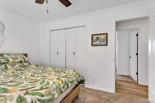 255 Divide View Drive, Golden, CO 80403