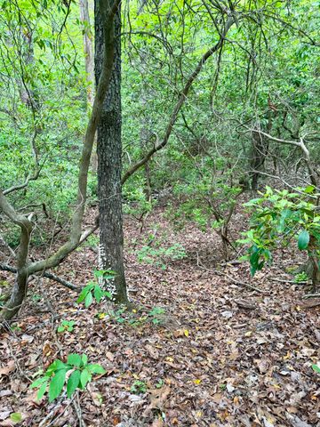600 Green Brier Lane, Dunlap, TN 37327