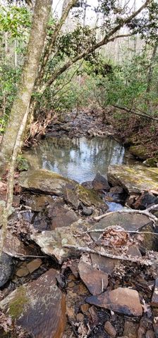 600 Green Brier Lane, Dunlap, TN 37327