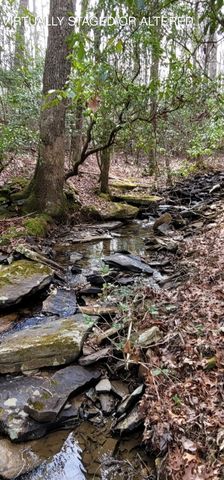 600 Green Brier Lane, Dunlap, TN 37327