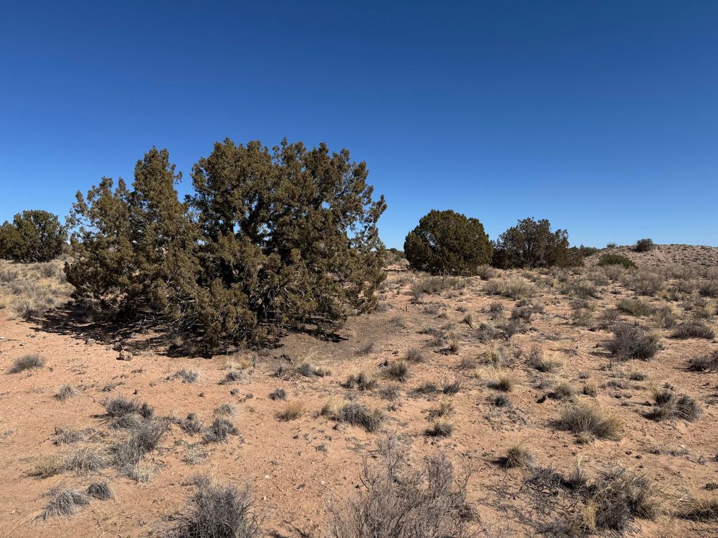 Antares Court NE, Rio Rancho, NM 87144