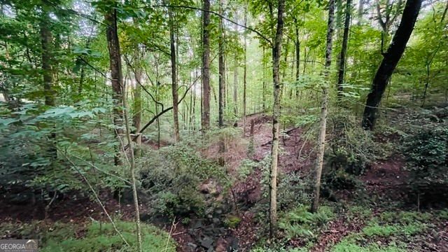 15890 Henderson Road, Alpharetta, GA 30004