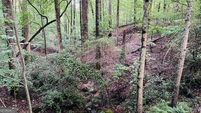 15890 Henderson Road, Alpharetta, GA 30004
