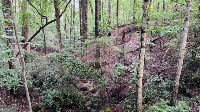 15890 Henderson Road, Alpharetta, GA 30004