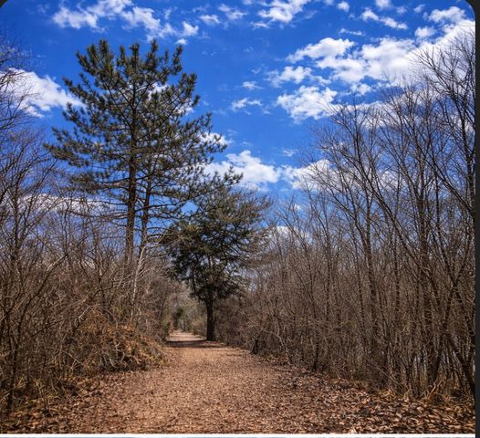 5508 S Stough Street, Hinsdale, IL 60521