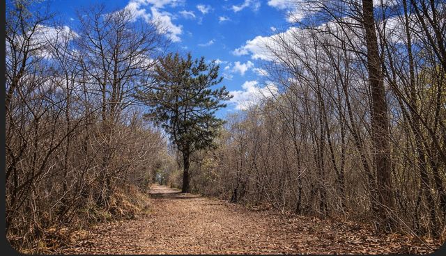 5508 S Stough Street, Hinsdale, IL 60521