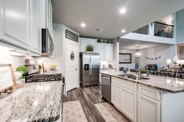 18202 Octavio Frias Trail, Houston, TX 77044