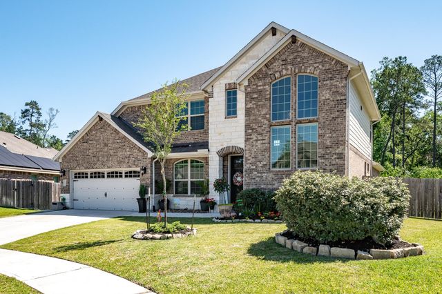 18202 Octavio Frias Trail, Houston, TX 77044