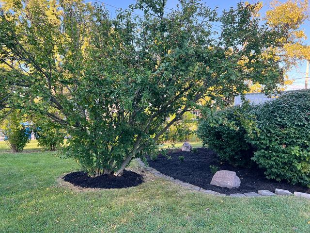 3002 Green Street 2, Steger, IL 60475