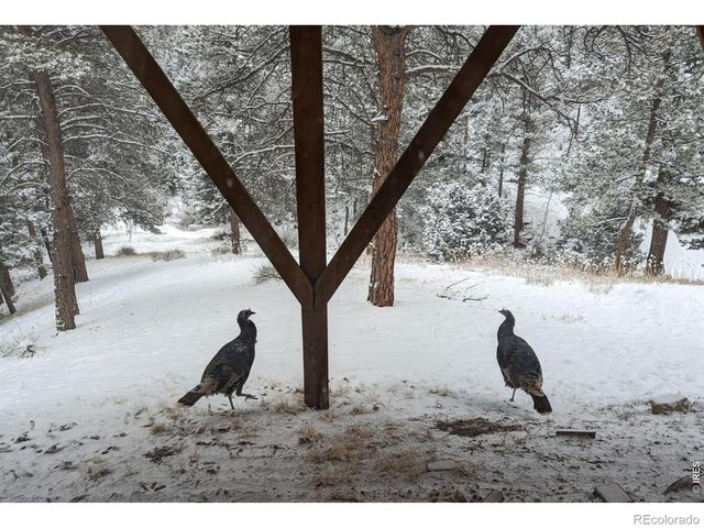 310 Wendelyn Way, Boulder, CO 80302