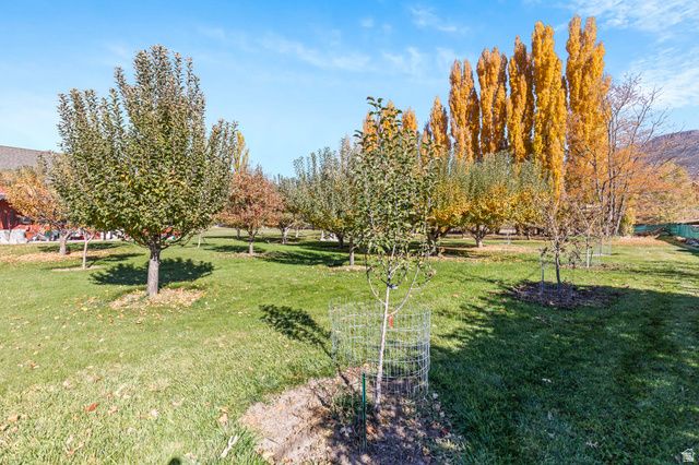 390 N 100 W, Monroe, UT 84754