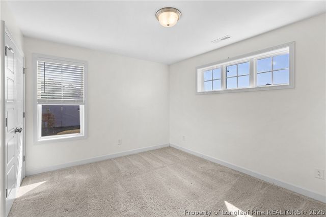 84 Rainy Beck Way, Erwin, NC 28356