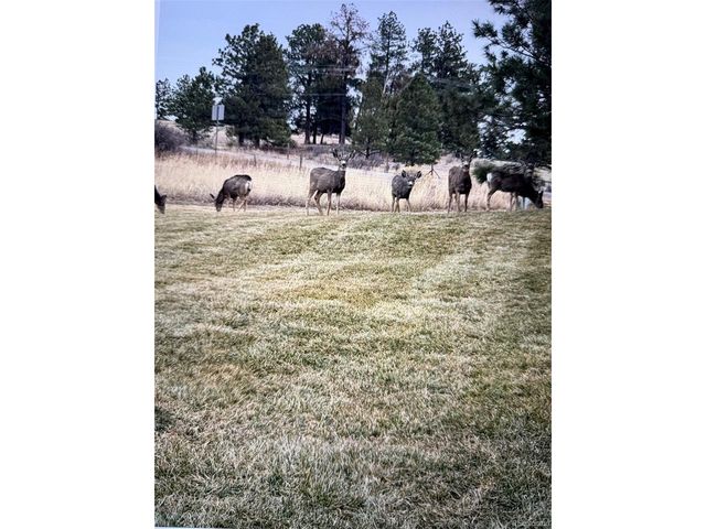 9050 Mary Clarke Pl, Parker, CO 80138