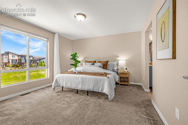 11325 Modern Meadow Loop, Colorado Springs, CO 80921