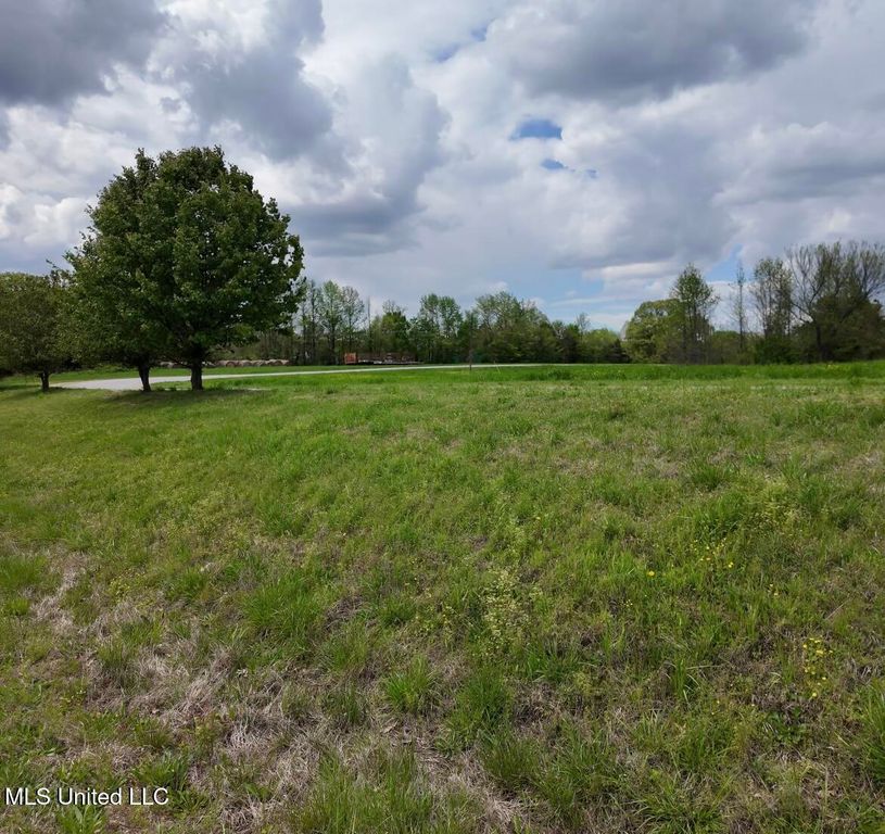 13950 Fairview Road E, Byhalia, MS 38611 — photo 5