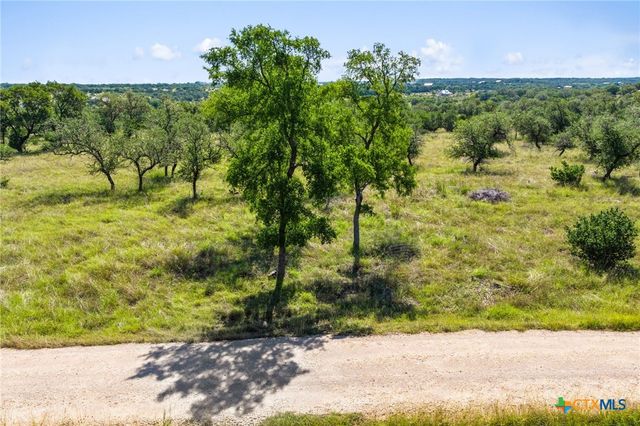 620 Rio Vista Road, Johnson City, TX 78636