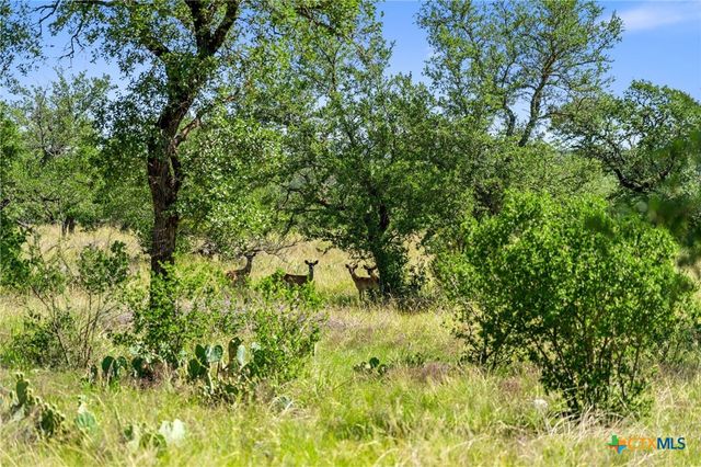 620 Rio Vista Road, Johnson City, TX 78636