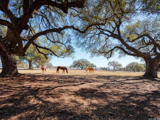 676 Highgate Dr, Bandera, TX 78003