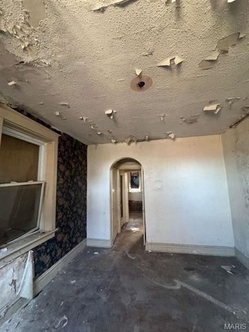 2925 Gasconade Street, St Louis, MO 63118