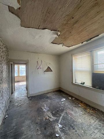 2925 Gasconade Street, St Louis, MO 63118