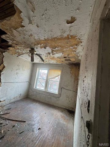 2925 Gasconade Street, St Louis, MO 63118