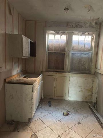 2925 Gasconade Street, St Louis, MO 63118