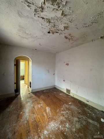 2925 Gasconade Street, St Louis, MO 63118