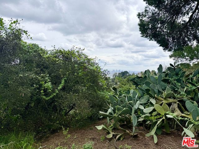 8468 Elusive Dr, Los Angeles, CA 90046