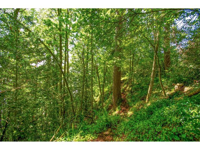 River Cliffs Dr, St Helens, OR 97051