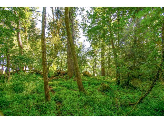River Cliffs Dr, St Helens, OR 97051