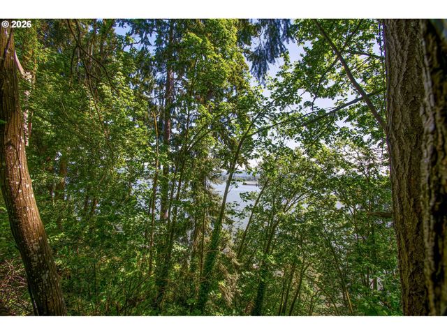 River Cliffs Dr, St Helens, OR 97051
