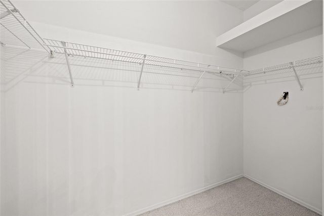 9838 BRIDGETON DRIVE, Tampa, FL 33626