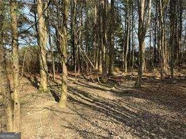 2949 Rosebud Road, Snellville, GA 30078