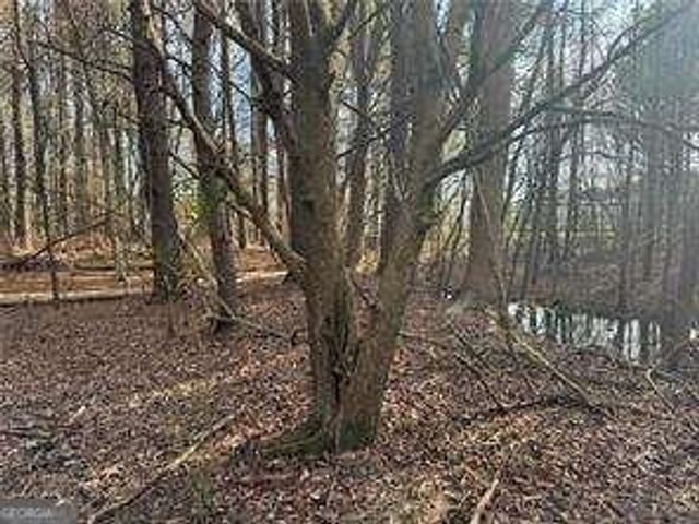 2949 Rosebud Road, Snellville, GA 30078