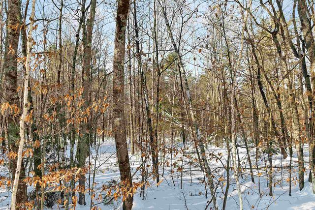 0 Green Mountain Road, Effingham, NH 03882