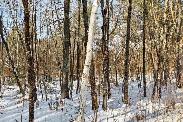 0 Green Mountain Road, Effingham, NH 03882