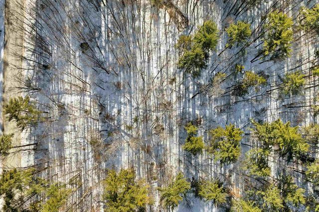 0 Green Mountain Road, Effingham, NH 03882