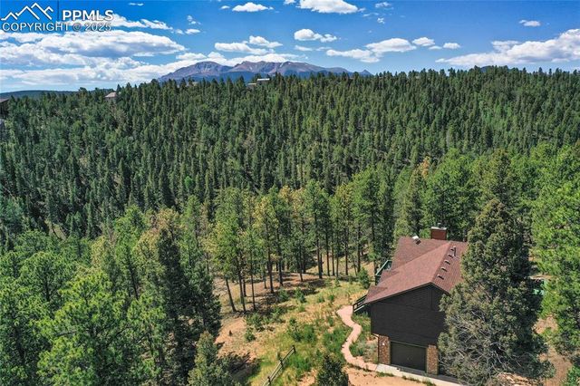 4041 Trout Creek Road, Woodland Park, CO 80863