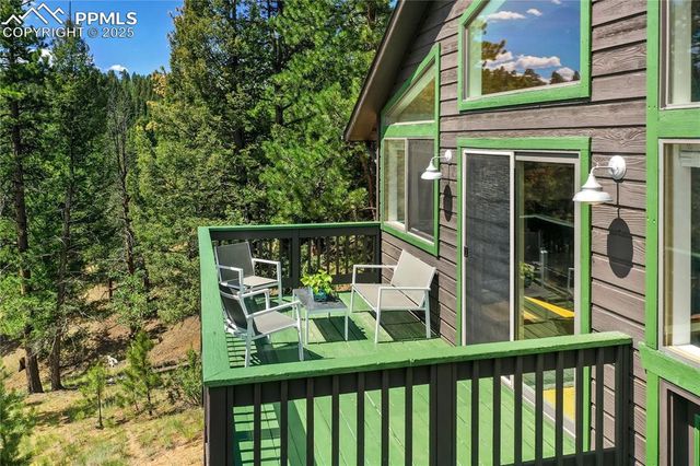4041 Trout Creek Road, Woodland Park, CO 80863