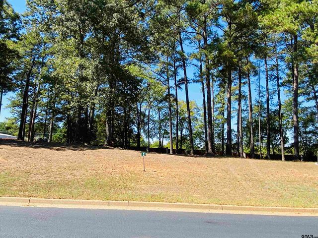 Lot 2 Easy St, Frankston, TX 75763