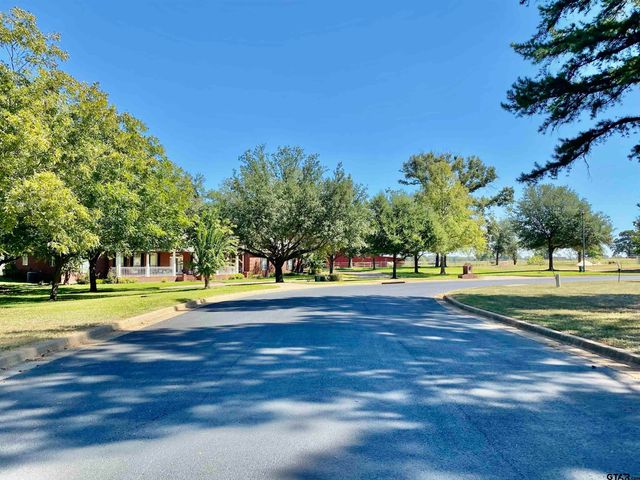 Lot 2 Easy St, Frankston, TX 75763