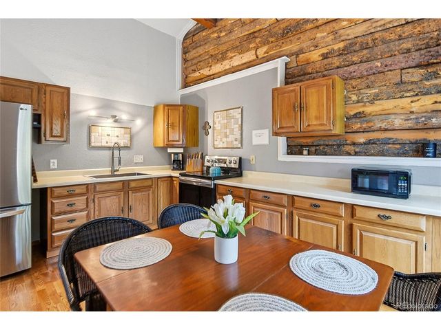 185 Alice Rd, Idaho Springs, CO 80452
