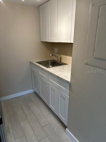 4131 DOLPHIN DRIVE 4131, Tampa, FL 33617