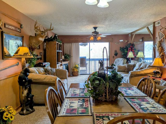 150 Sunken Forest Dr. 3-134, Forsyth, MO 65653